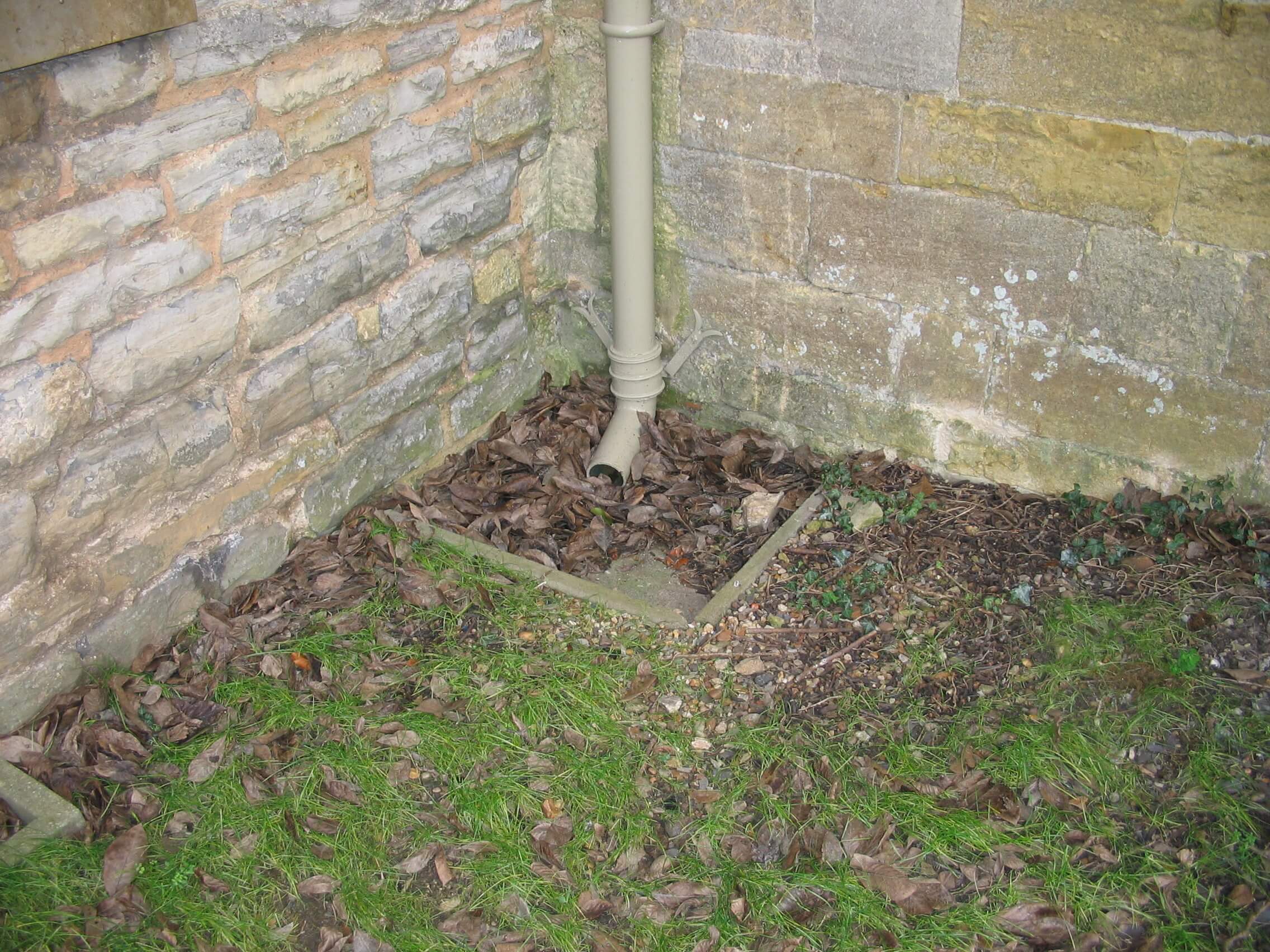 Downpipe with leaves in gutter