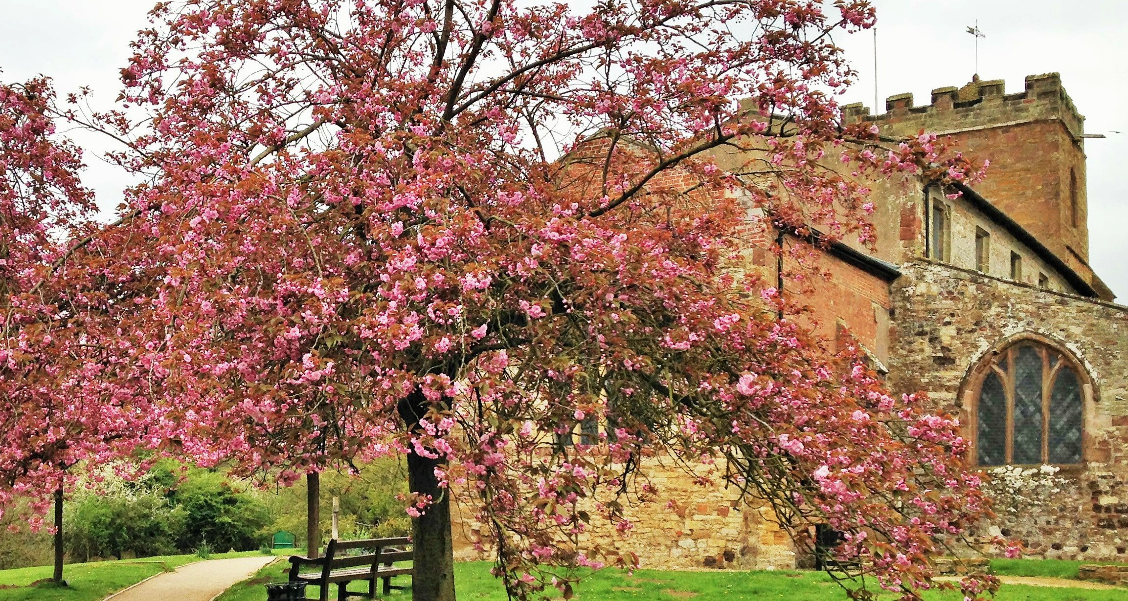 Warwickshire Hill Mortons