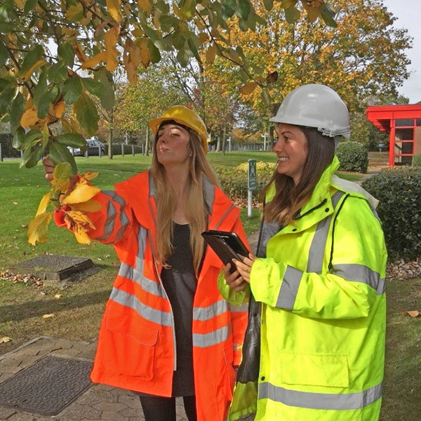 Tree Risk Assessment/Full Surveys