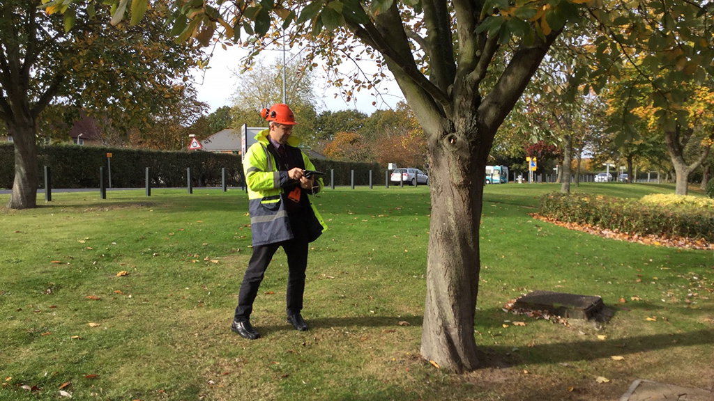 St Stephen the Marytr, Wolverhampton tree survey. Landscape Planning 2