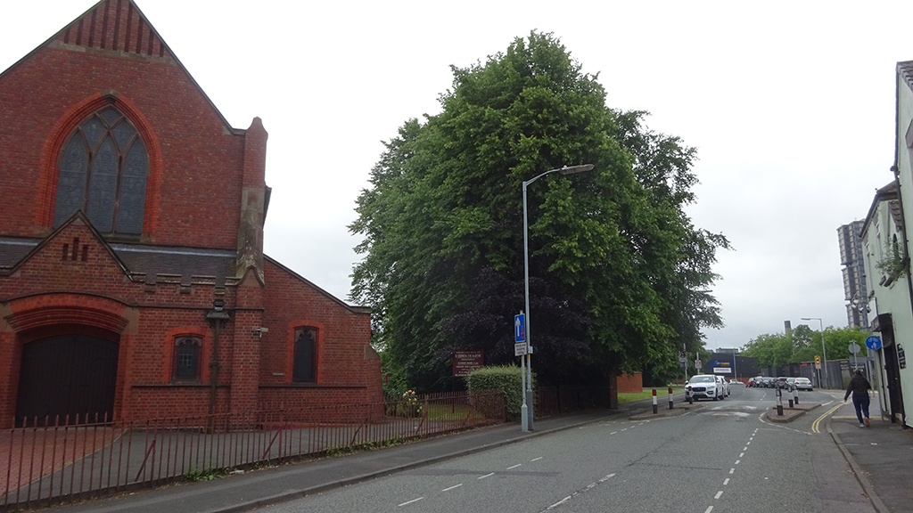 St Stephen the Marytr, Wolverhampton tree survey. Landscape Planning 3